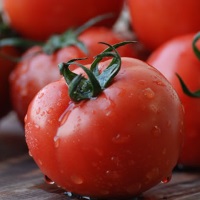 塩トマト